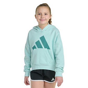 Girls adidas Long Sleeve Essential Big Logo Graphic Pullover Hoodie