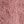 Dusty Coral