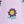 Sunflower Purple