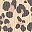 Tan Leopard