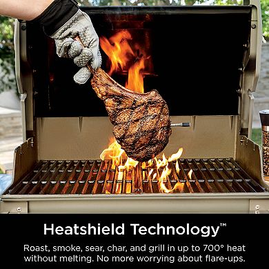 Ninja ProChef™ Wireless Thermometer Indoor & Outdoor WP100