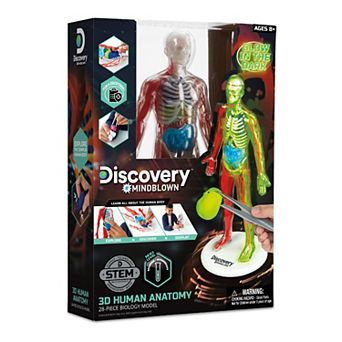 Discovery™ #Mindblown 3D Human Anatomy 28 pc Biology Model