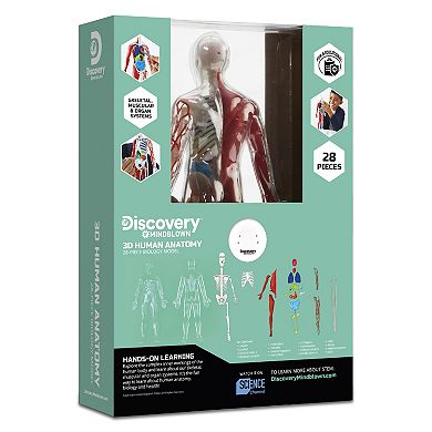 Discovery™ #Mindblown 3D Human Anatomy 28-Piece Biology Model