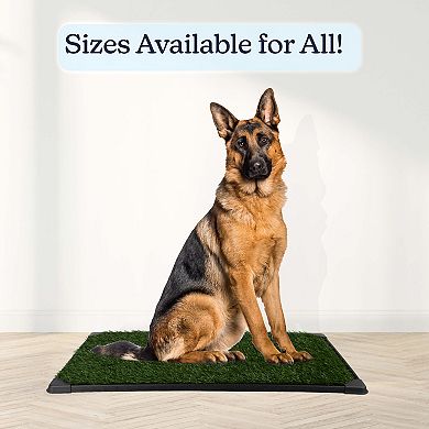 PetMaker Dog Grass Pad with Tray