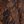 Brown Snk