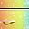 Rainbow Dream