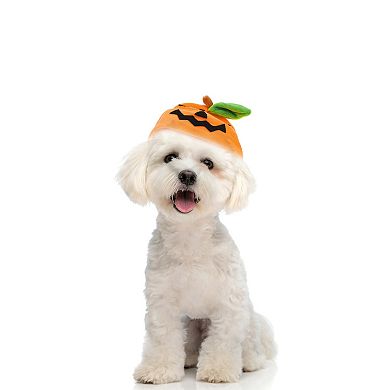 Expression Pumpkin Style Pet Headwear for Halloween Orange Green 1 Pcs