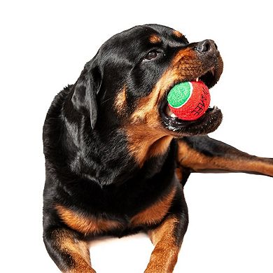 Midlee Christmas 2.5" Dog Tennis Balls With Squeaker - 6pk