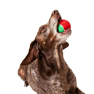 Midlee Christmas 2.5" Dog Tennis Balls With Squeaker - 6pk