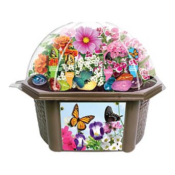 Toys By Nature Biosphere Terrarium - Bountiful Butterfly Garden