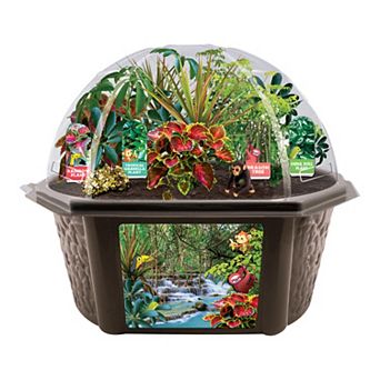 Toys By Nature Biosphere Terrarium - Tropical Rainforest Jungle