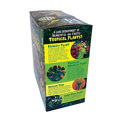 Toys By Nature Biosphere Terrarium - Tropical Rainforest Jungle