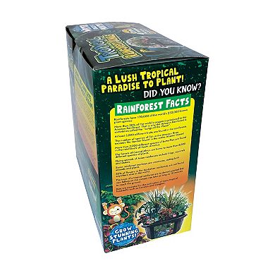 Toys By Nature Biosphere Terrarium - Tropical Rainforest Jungle