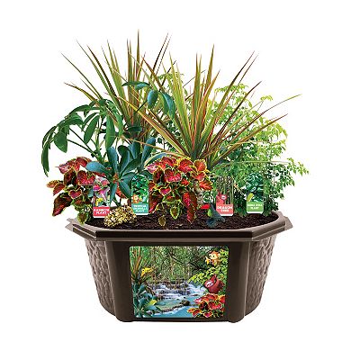 Toys By Nature Biosphere Terrarium - Tropical Rainforest Jungle