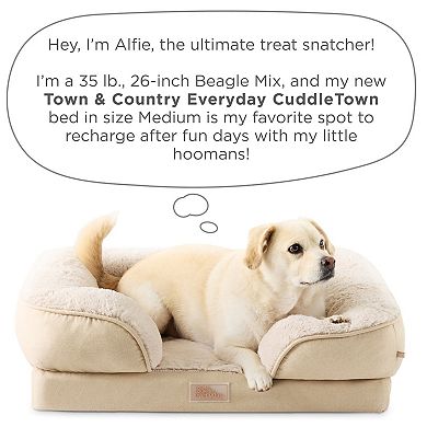 Town & Country Everyday CuddleTown Comfy Solid Bolster Sofa Pet Bed