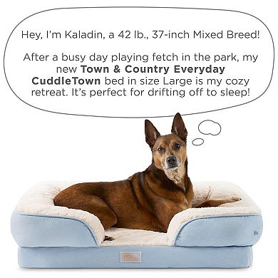 Town & Country Everyday CuddleTown Comfy Solid Bolster Sofa Pet Bed