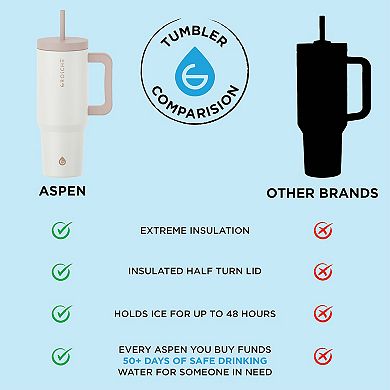 GROSCHE ASPEN 40-oz. Insulated Tumbler with Handle 2-pk.