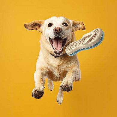 Spunky Pup Gnaw Guard Flip Flop Squeaky Toy