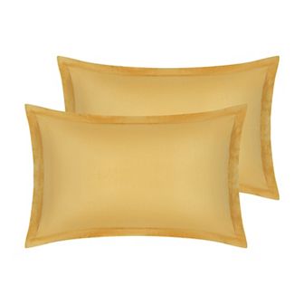 Velvet Pillow Cases Queen Size Set of 2, Pillow Covers with Zipper Closure, Gift for Women Men