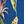 Blue Floral