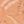Peach Tonal Palm