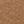 Teak