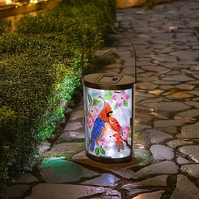 Home Essentials Cardinal Solar Lantern