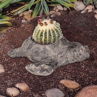 Home Essentials Turtle Planter