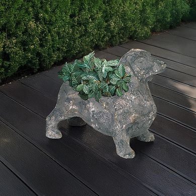 Home Essentials Dog Planter