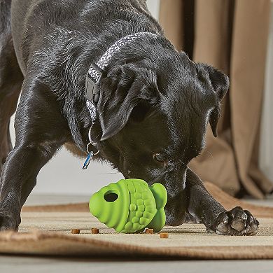 Brightkins Tough and Tumble Small Gnome Treat Dispenser