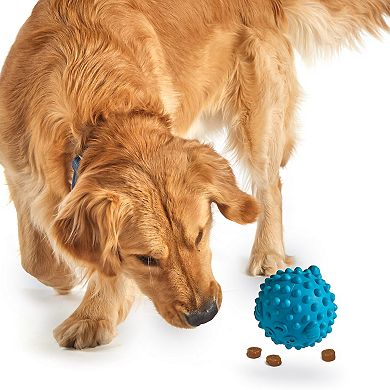 Brightkins Tough & Tumble Large Pufferfish Treat Dispenser