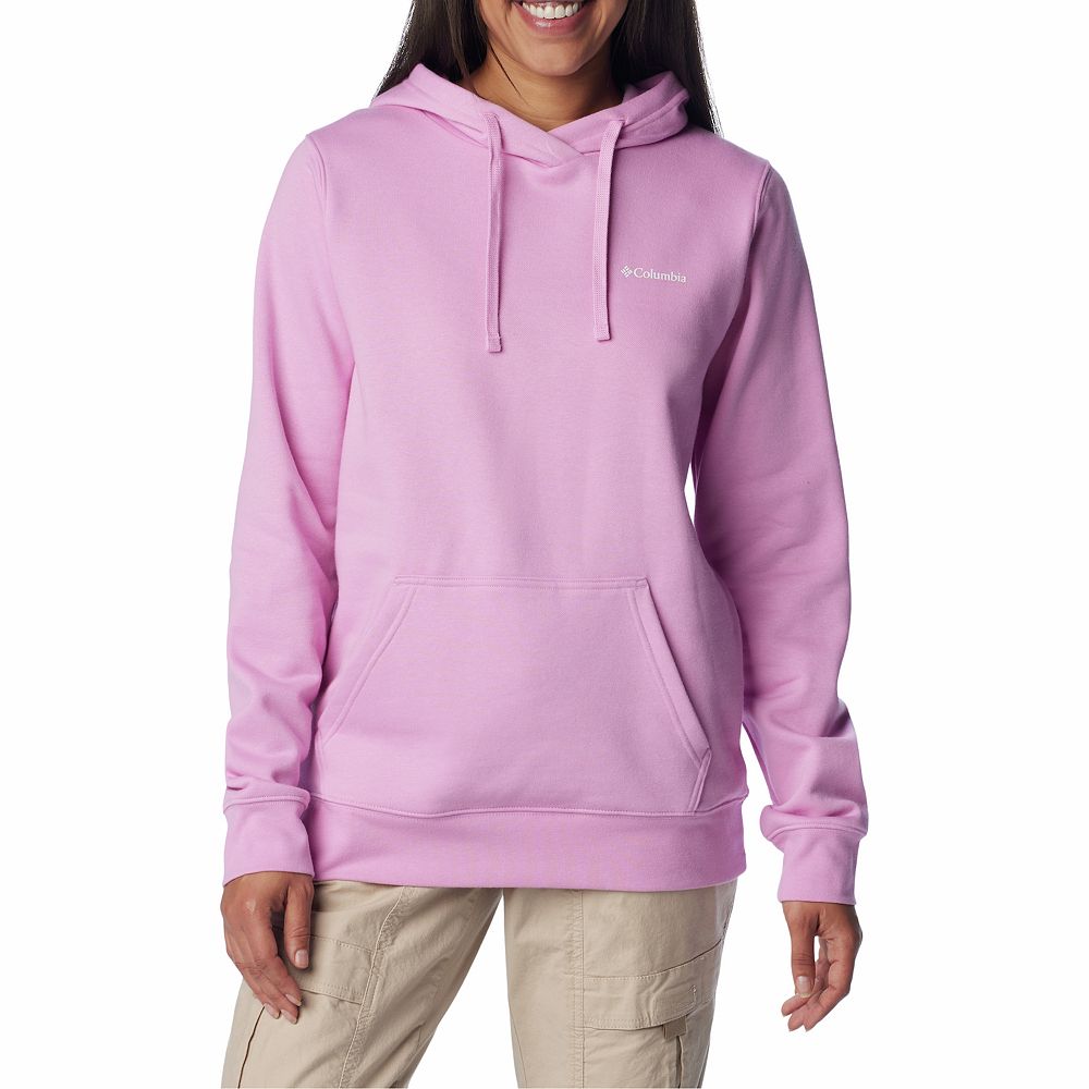 Columbia Castella Peak Striped Hoodie - Women's