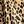 Tan Leopard