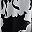 Black White Floral