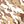 Desert Camo