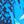 Blue Tropical