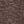 Coffee Bean