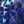Blue Black Floral