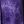 Dark Violet