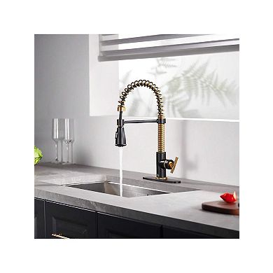 Single Handle Kitchen Faucet Pull-down Sprayer 360 Swivel Three Functions