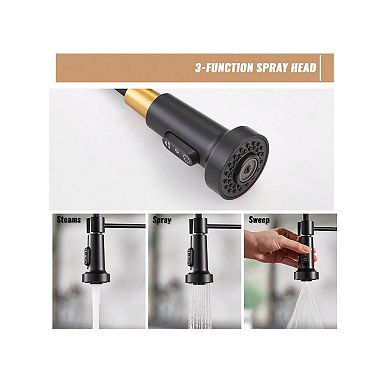 Single Handle Kitchen Faucet 1.8 Gpm With Pull Down With Three Functions