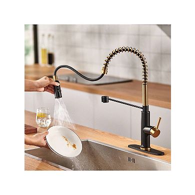 Kitchen Sink Faucet 1.8 Gpm With Pull Down And 3 Models Sprayer Single Handle