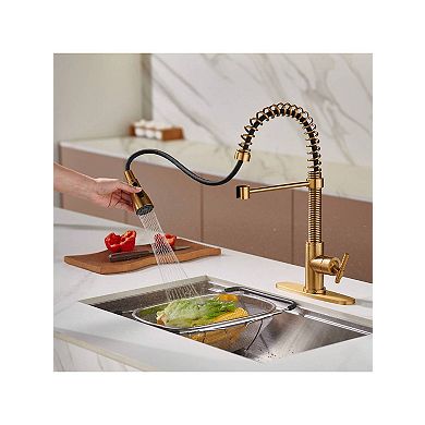 Single Handle Kitchen Sink Faucet Pull-down Sprayer 360 Swivel 3 Functions