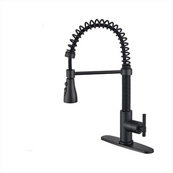 Single Handle Kitchen Sink Faucet Pull-down Sprayer 360 Swivel 3 Functions