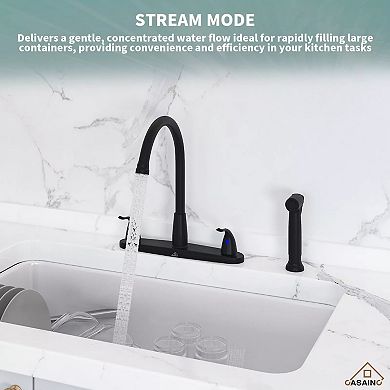 Casainc Double Handle Kitchen Sink Faucet With Side Sprayer