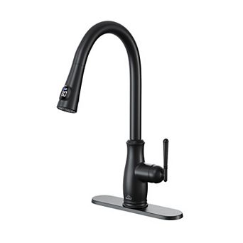 Casainc Pull Down Sprayer Kitchen Faucet With Digital Temperature Display