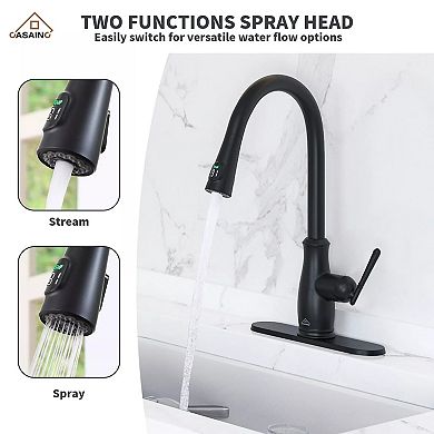 Casainc Pull Down Sprayer Kitchen Faucet With Digital Temperature Display