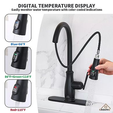 Casainc Pull Down Sprayer Kitchen Faucet With Digital Temperature Display