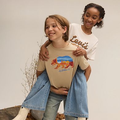 Boys 8-20 Levi's® Mixed Graphics Short Sleeve T-shirt