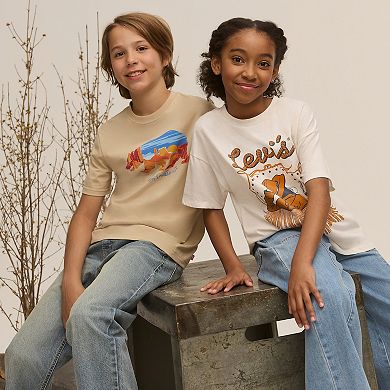 Boys 8-20 Levi's® Mixed Graphics Short Sleeve T-shirt